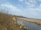 Продам участок 13 соток, Новгородский район, Дубровка (Борковское с/п) , (ИЖС