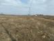 Продам участок 13 соток, Новгородский район, Дубровка (Борковское с/п) , (ИЖС